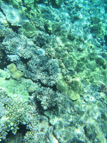IMG_3043.JPG