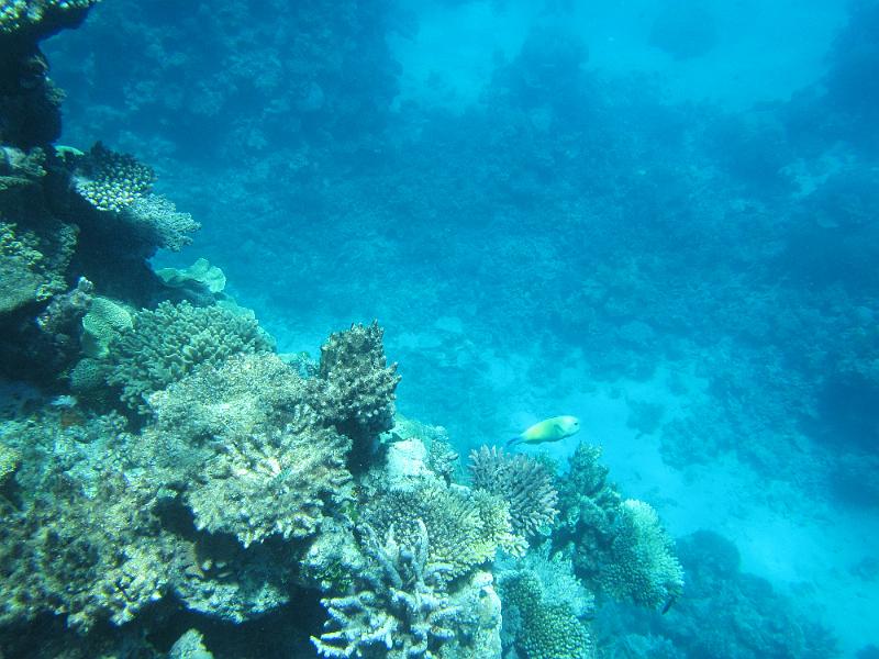 IMG_3070.JPG