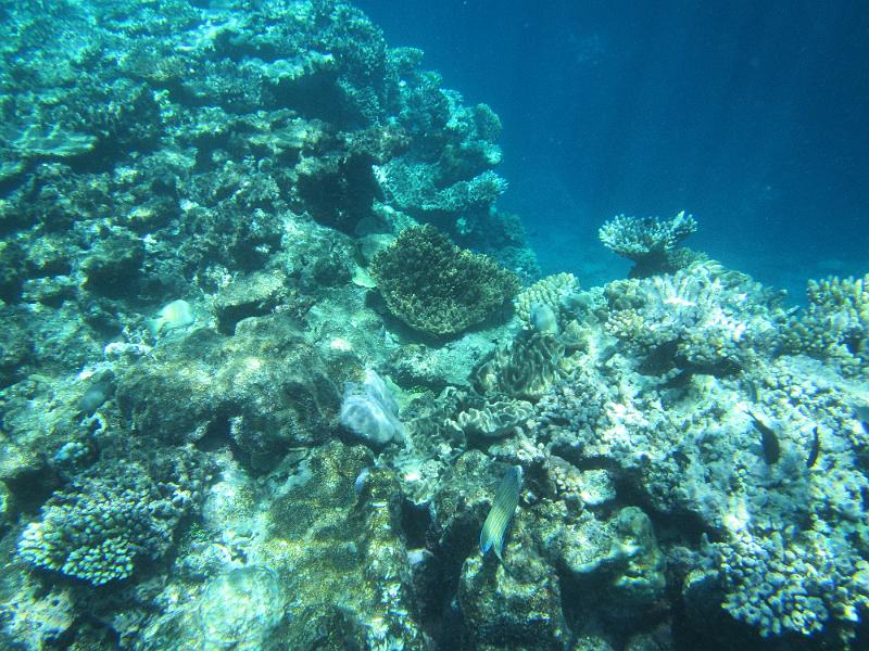 IMG_3077.JPG