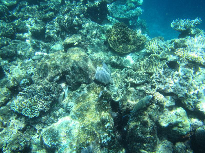 IMG_3078.JPG