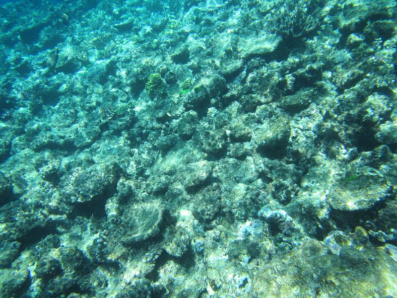 IMG_3079.JPG