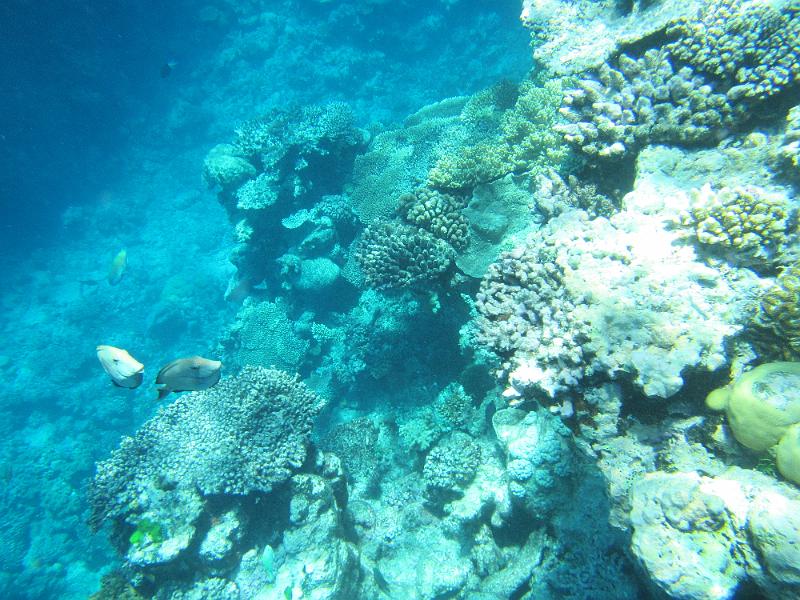 IMG_3083.JPG