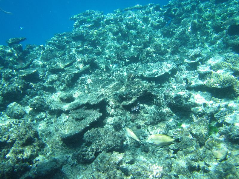 IMG_3091.JPG
