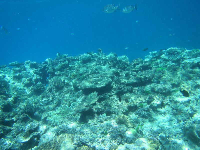 IMG_3094.JPG