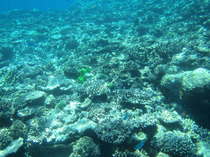 IMG_3099.JPG