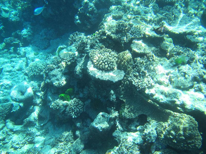 IMG_3101.JPG