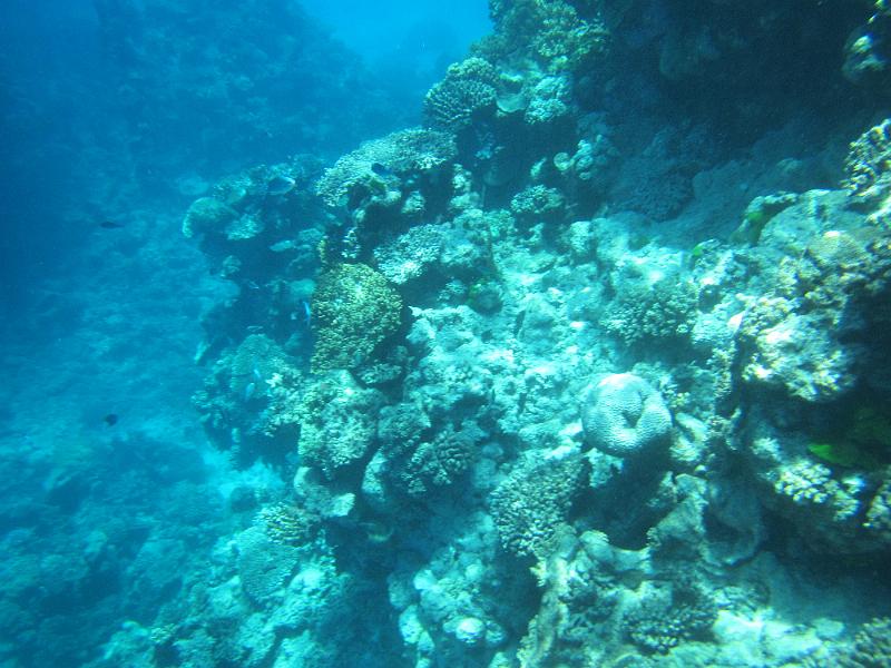 IMG_3104.JPG