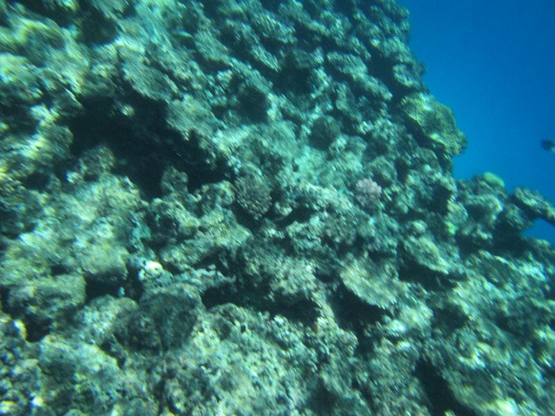 IMG_3106.JPG