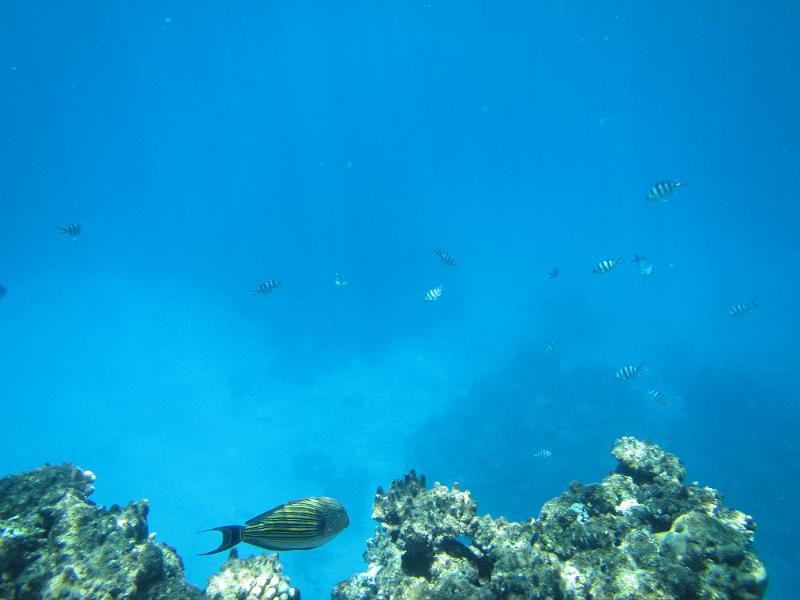 IMG_3111.JPG