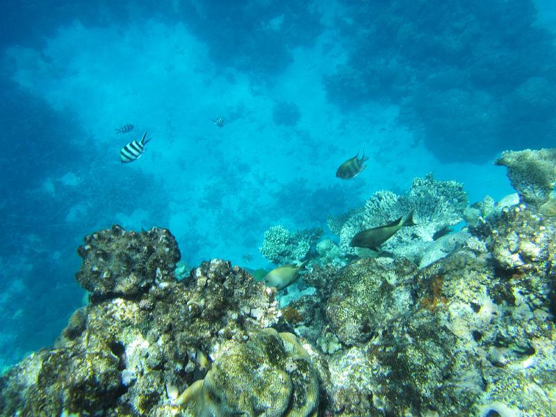 IMG_3112.JPG