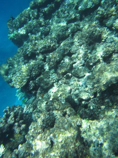 IMG_3113.JPG
