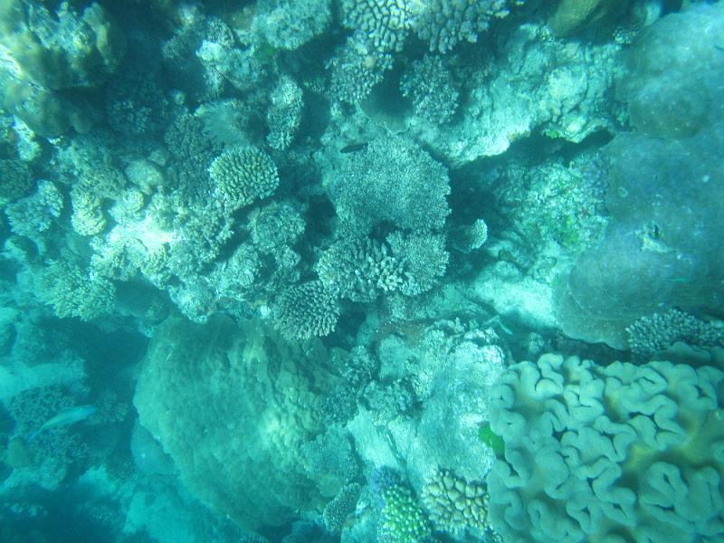 IMG_3124.JPG