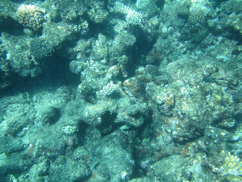 IMG_3129.JPG
