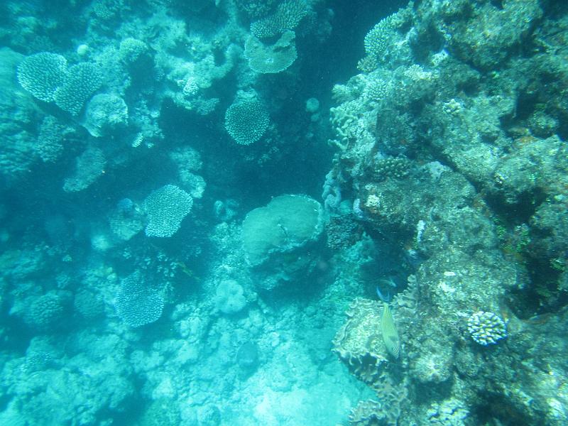 IMG_3130.JPG