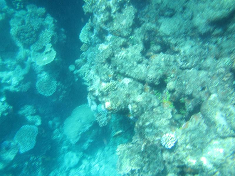 IMG_3131.JPG