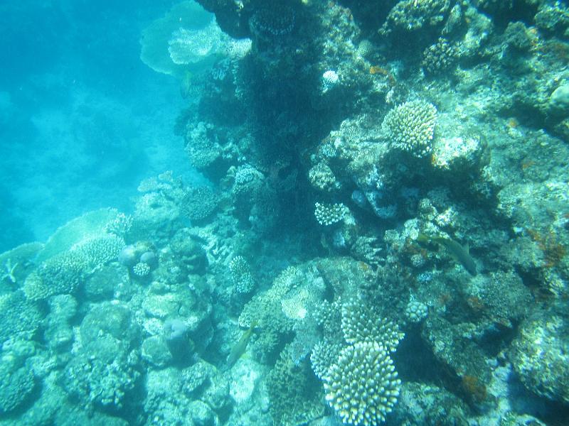 IMG_3133.JPG
