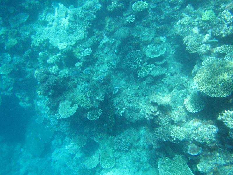 IMG_3139.JPG