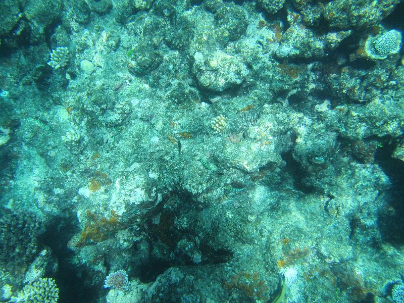 IMG_3142.JPG