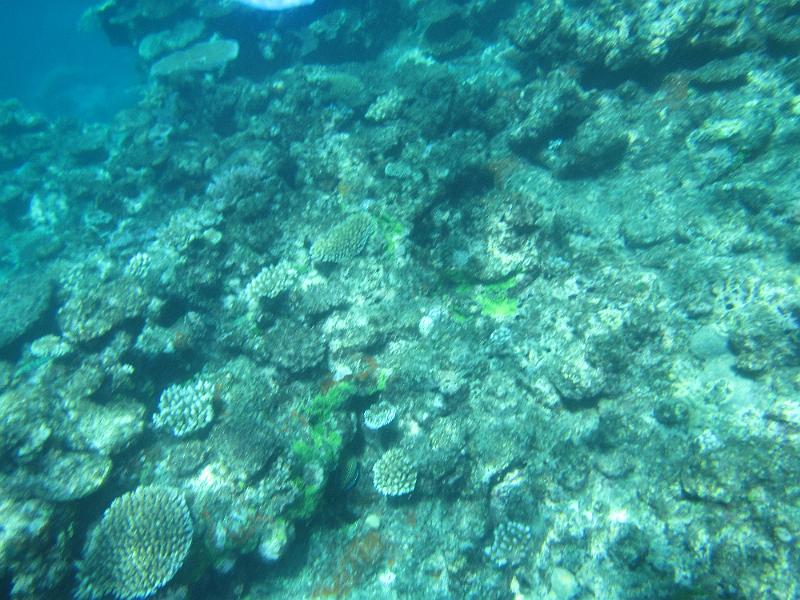 IMG_3144.JPG