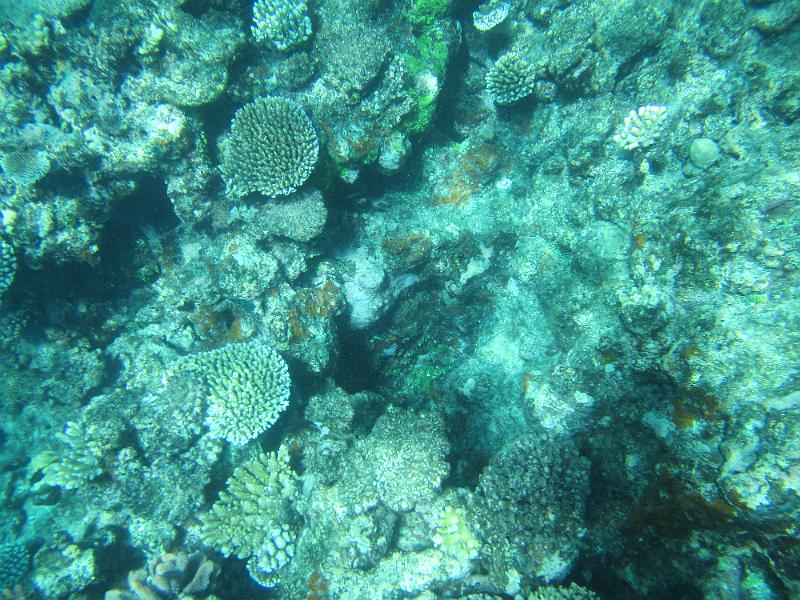 IMG_3145.JPG