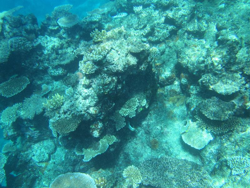IMG_3146.JPG