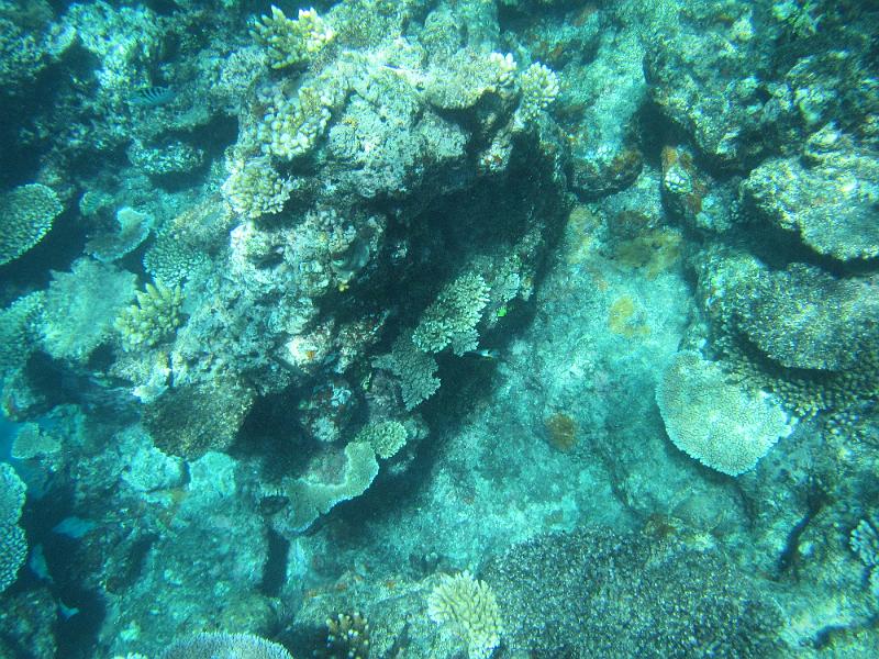 IMG_3147.JPG