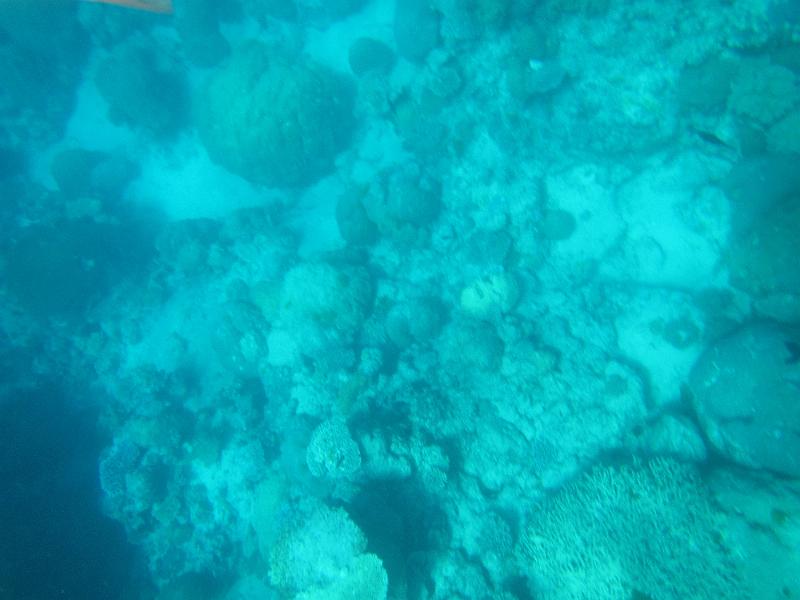 IMG_3150.JPG