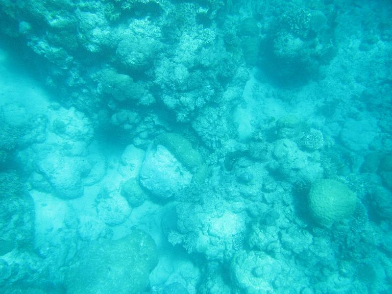 IMG_3157.JPG
