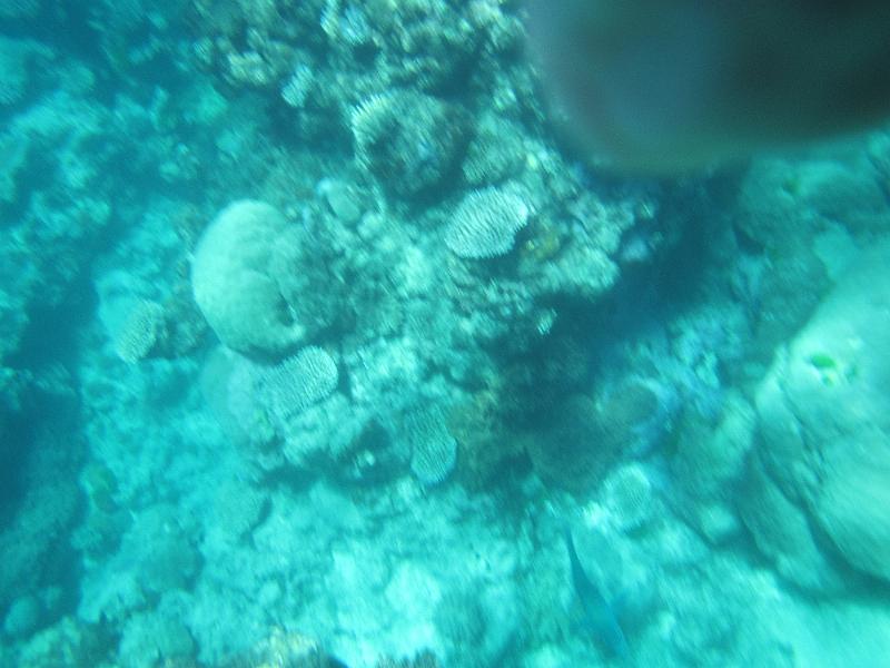 IMG_3159.JPG