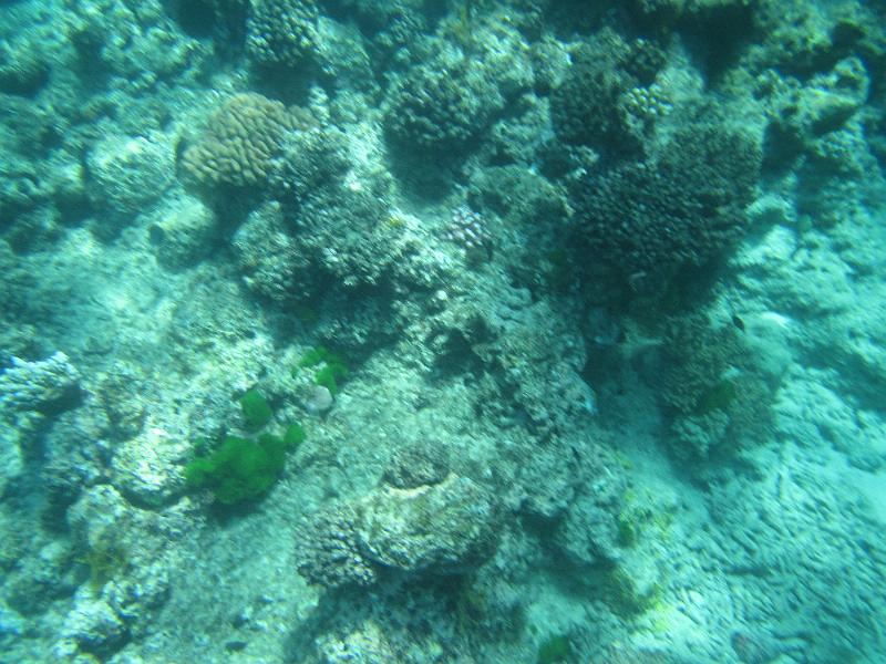 IMG_3162.JPG