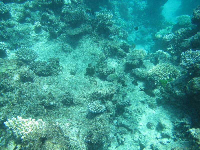 IMG_3167.JPG