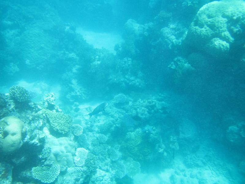 IMG_3169.JPG