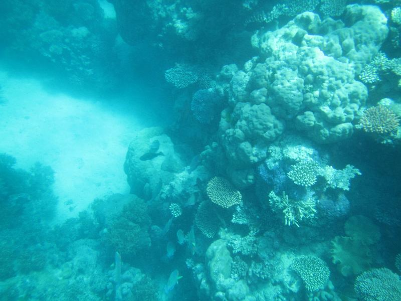 IMG_3174.JPG
