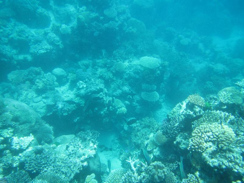 IMG_3179.JPG