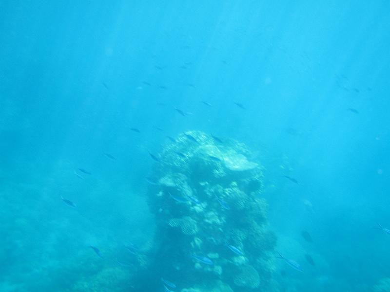 IMG_3196.JPG