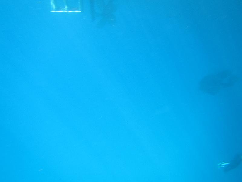 IMG_3245.JPG