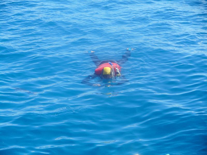 DSCN0520.JPG