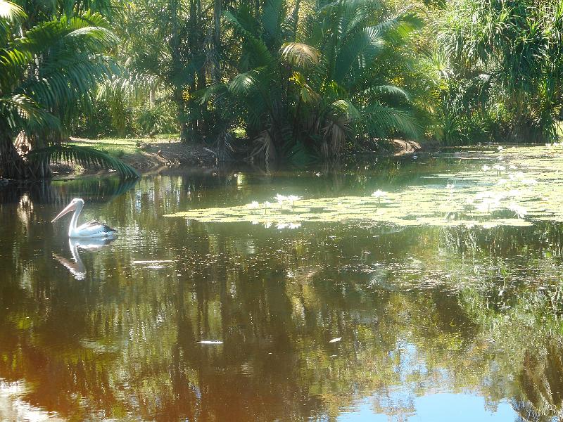 DSCN0537.JPG