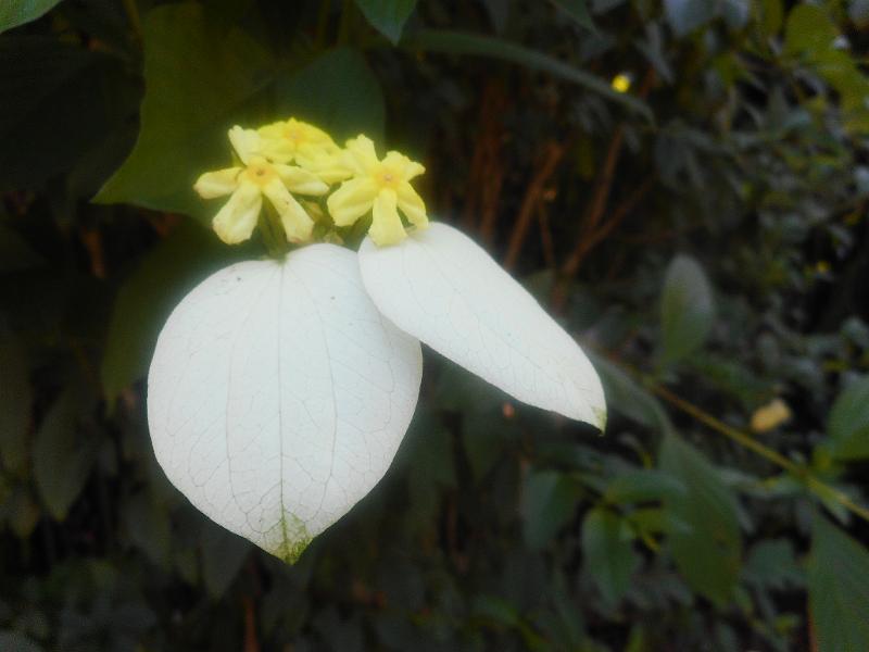 DSCN0555.JPG
