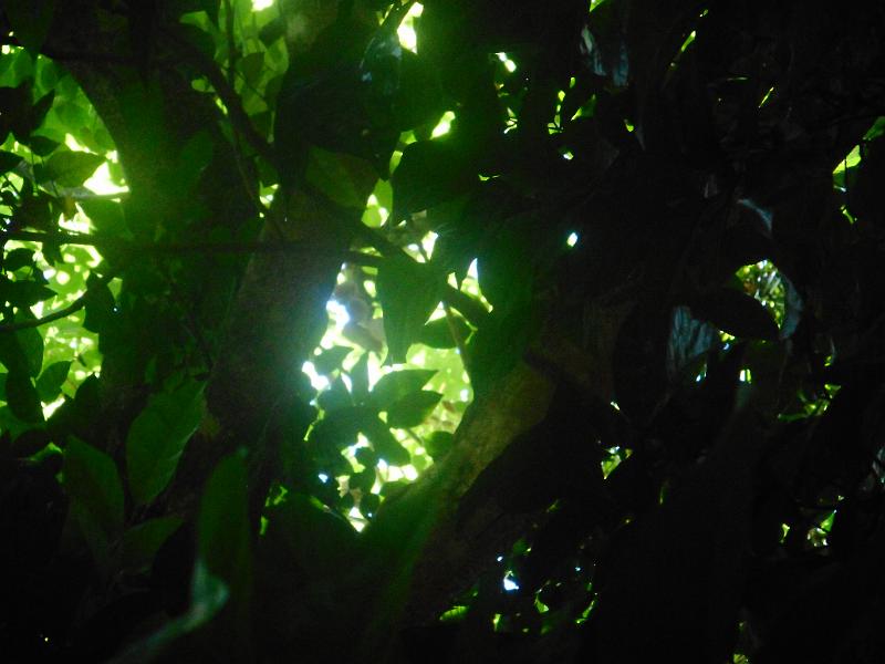 DSCN0569.JPG