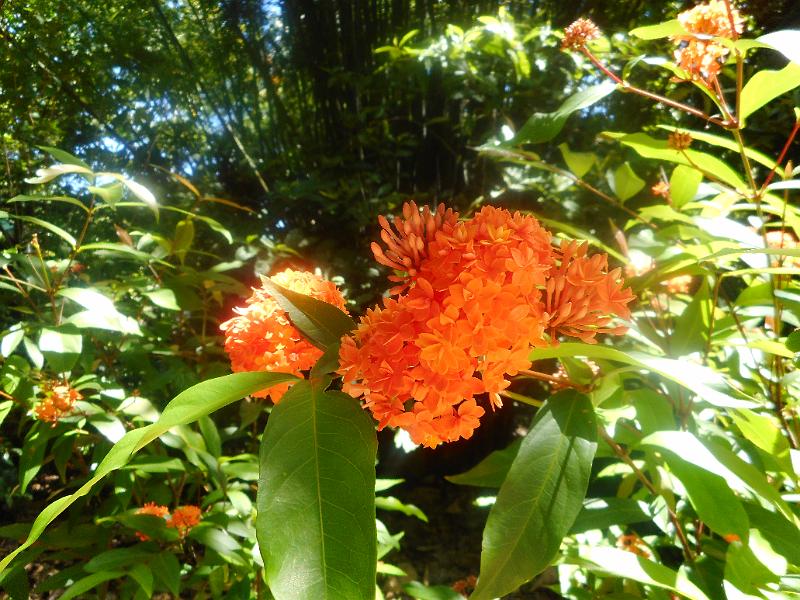 DSCN0587.JPG