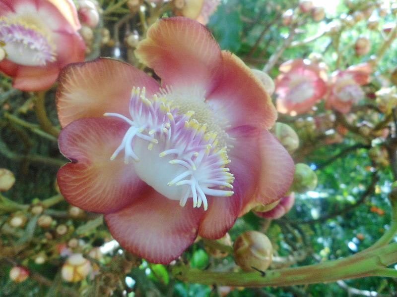 DSCN0591.JPG
