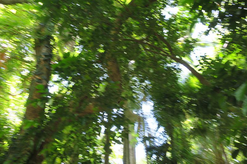 IMG_1852.JPG