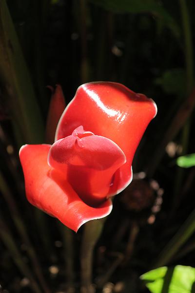 IMG_1866.JPG