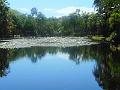 DSCN0535