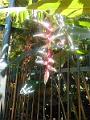 DSCN0554