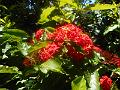 DSCN0556