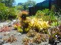 DSCN0559