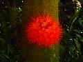 DSCN0564