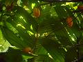 DSCN0565